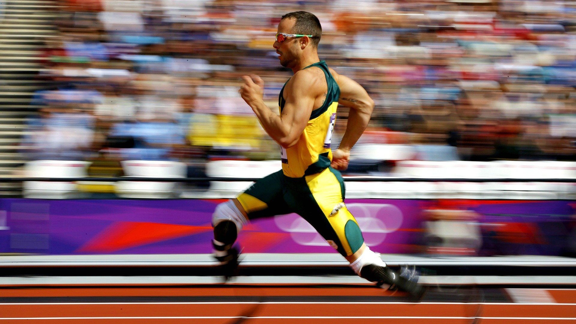 跳水实力延续历届水准稳定输出，跳水历史记录