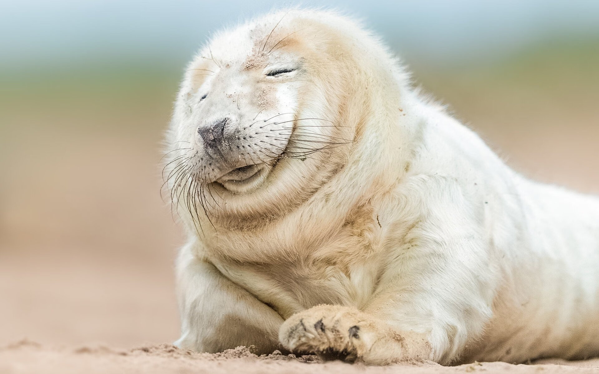 【三振制度详解】投手如何利用三振击败对手?,三振 k