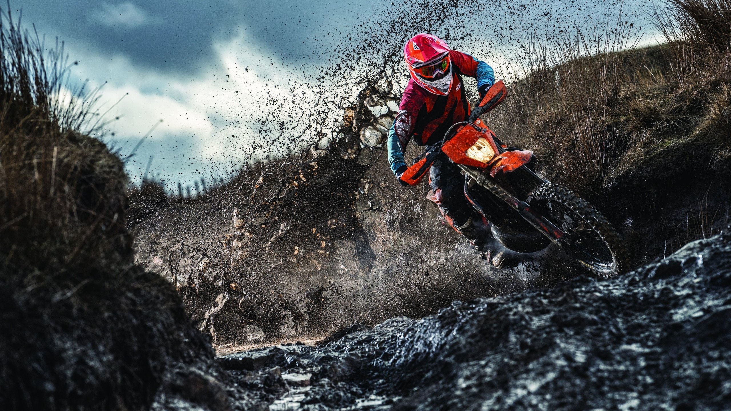 上海、山东、海南等地推动中小学生游泳教育普及工作,提升青少年体育素养