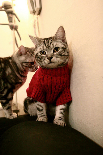 全景追踪：每个弯道背后的艰难挑战，全景示意图