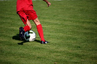 开yun官网-CBA球队加强后勤保障体系优化训练和比赛准备，cba后备联赛